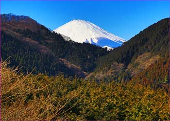 足柄山富士