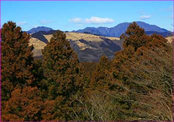 大野山展望