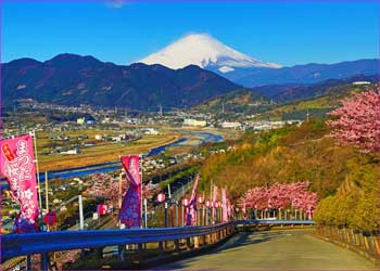 公園から富士山