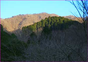 鍋割山稜望む