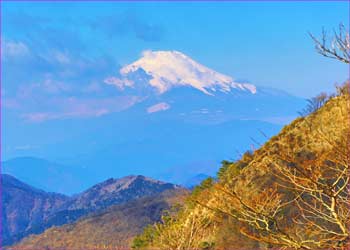 小丸尾根から富士山