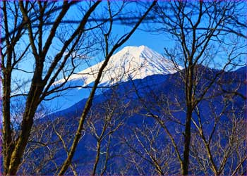 尾根から富士見ゆ