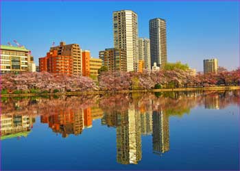 不忍池春の景