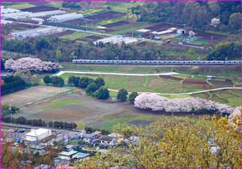 小田急線見下ろす