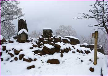 高川山雪の山頂