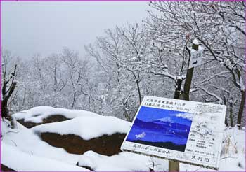 高川山頂