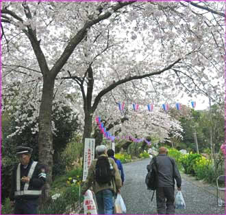 衣笠山公園へ