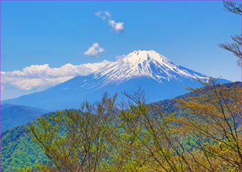 富士山展望