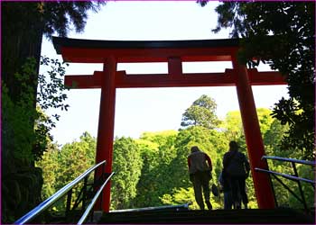 箱根神社鳥居