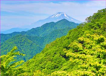 富士山望む