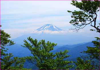 熊笹の峰から富士山