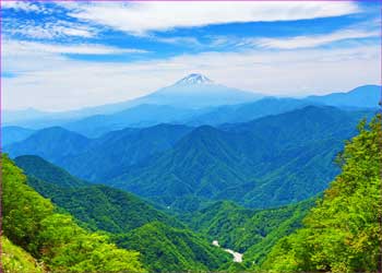 檜洞丸から富士山