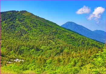 猿倉岳に高田大岳