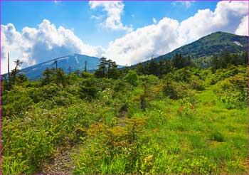 駒が峰に遠く櫛ガ峰