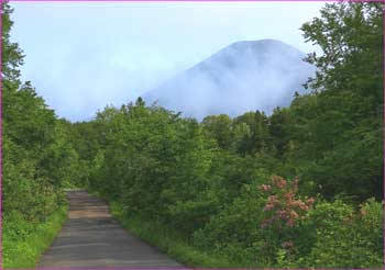 高田大岳