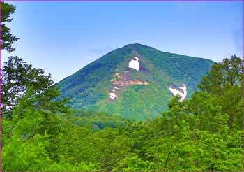 高田大岳望む