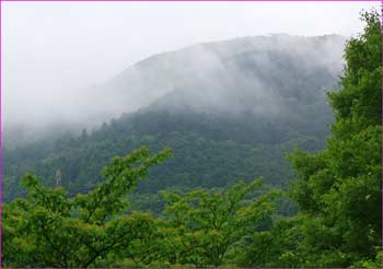 雲霧の大野山