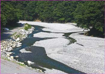 玄倉川下流