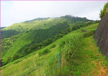 大野山山頂望む