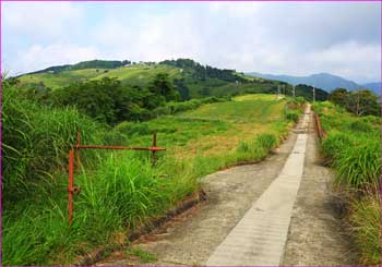 大野山牧場