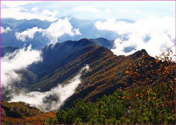 爺ヶ岳東尾根