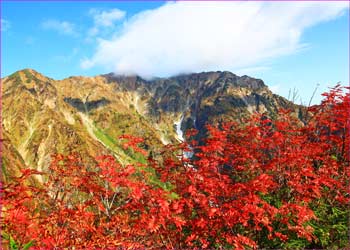 鹿島槍ヶ岳晴ゆく