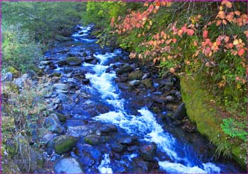 柳川角木場