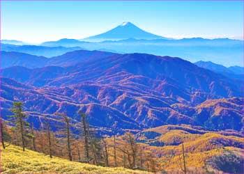 古礼山富士展望