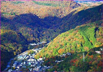 宮城野秋景