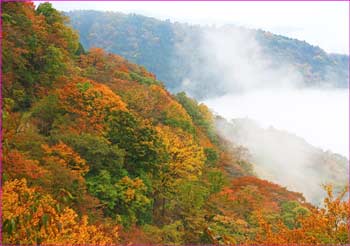 尾根の紅葉