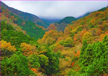 紅葉の山