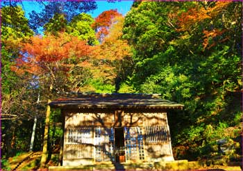 追分の寺社