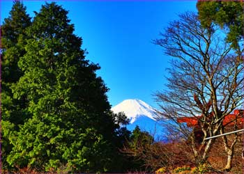 大山富士