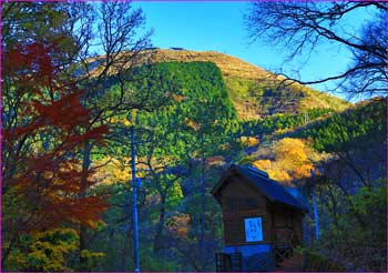 大野山望む