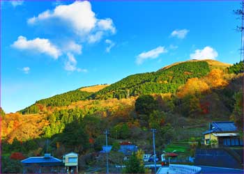 大野山望む