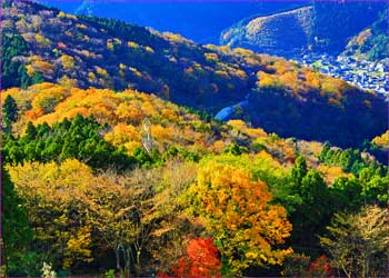 野背開戸秋景色