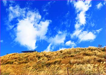 大野山雲わく