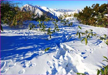 雪跡