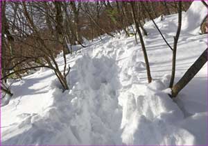 帰りの雪道