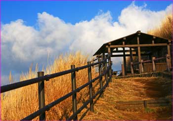 大野山西展望所