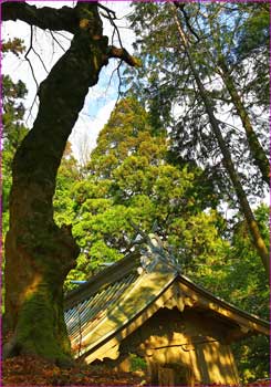 神明社