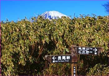 丸岳山頂