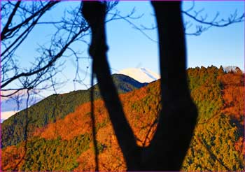 富士山のぞく