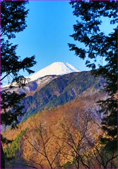 堀山から富士山