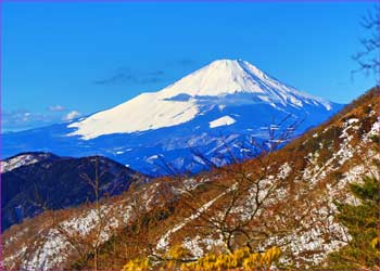 富士山展望