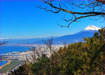 駿河富士展望