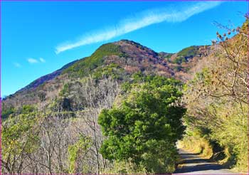 多比登山口