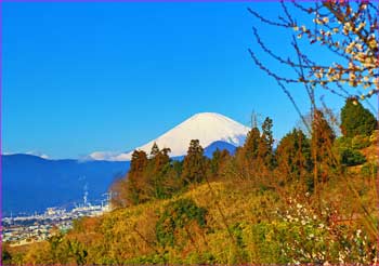 里山から富士