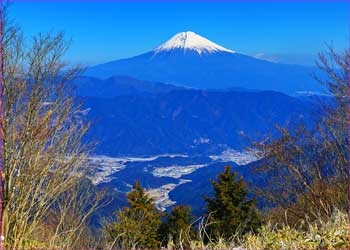 富士山眺めて