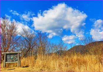 幕山山頂